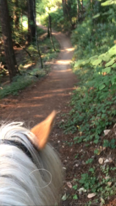 hill conditioning, pony goes ZOOM again!